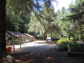 Гостиница Big Sur Lodge  Биг Сюр